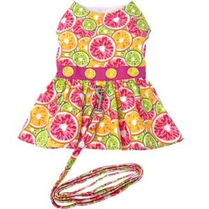 citrus-slice-dog-dress-with-matching-leash-3661-300x300 Citrus Slice Harness Dress with Matching Leash