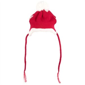 122559_Image.400x500-300x300 Santa Hat