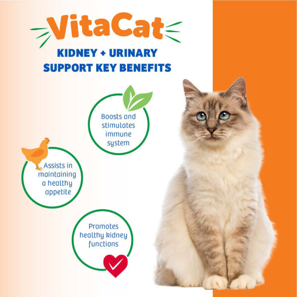 200653_Image4539-600x600 Kidney + Urinary Support - Soft Chews for Cats, 2.1 oz. (60 g), 60 chews