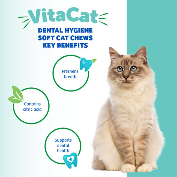 200688_Image4668-600x600 Dental Hygiene - Soft Chews for Cats, 2.12 oz. (60 g), 60 chews